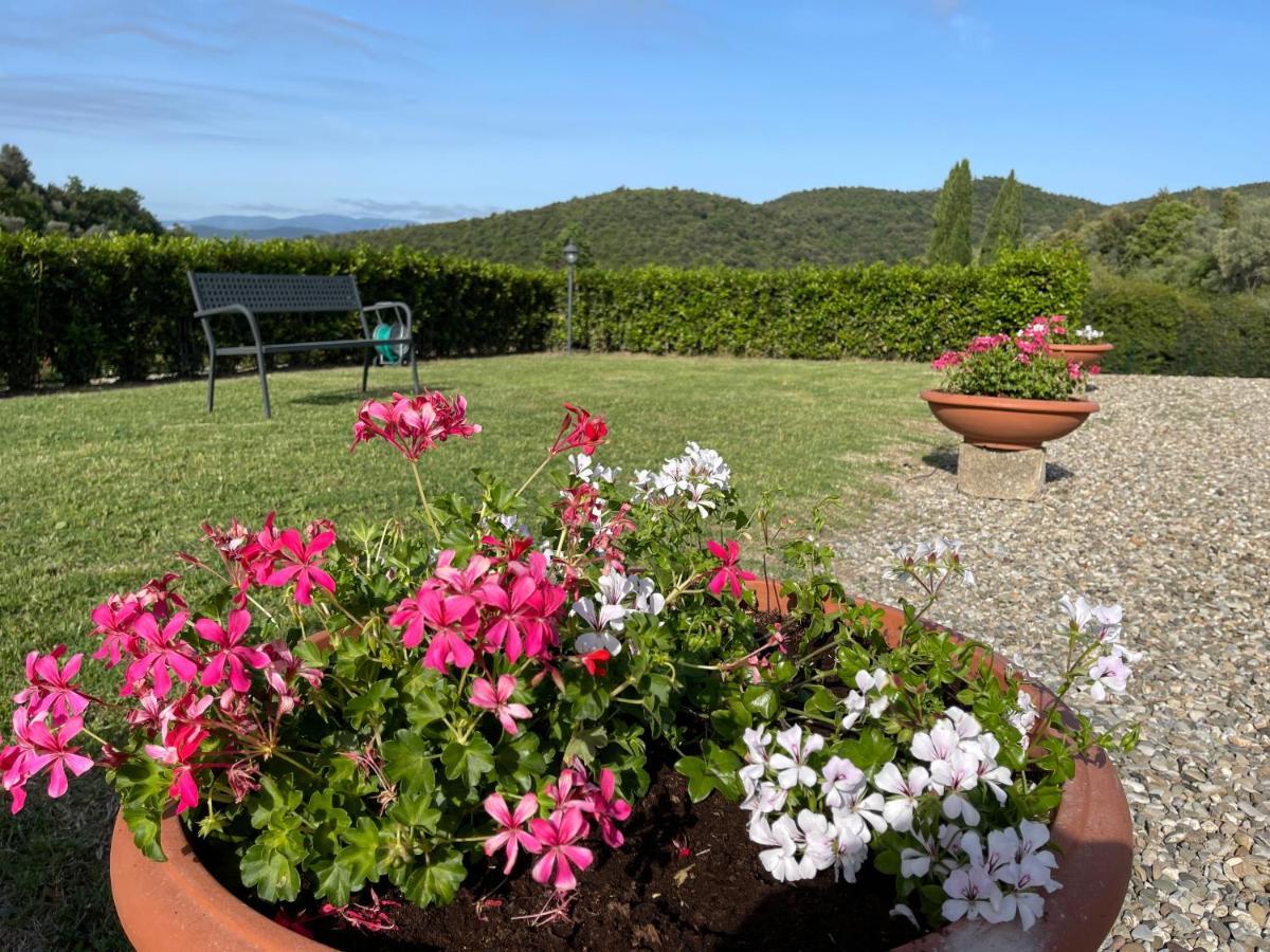 Tenuta Montemassi Podere Montauzzo Exteriör bild