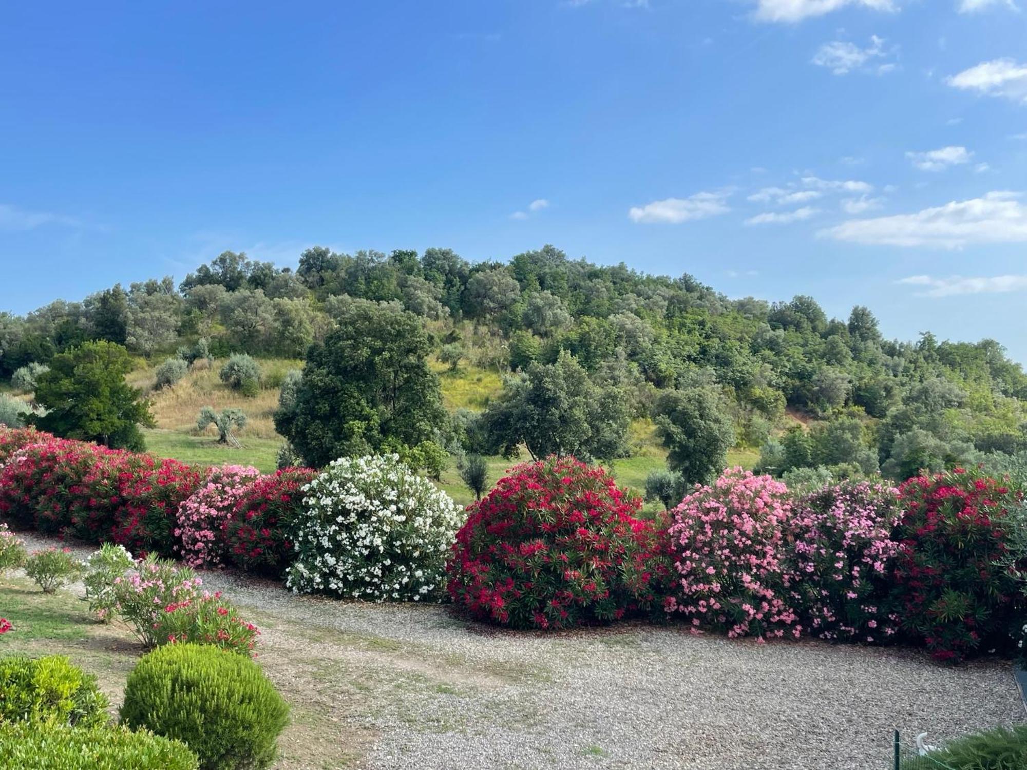 Tenuta Montemassi Podere Montauzzo Exteriör bild